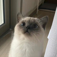 滋蹦的绑架没有救赎 我们都是上瘾的囚徒