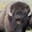 BuffaloTom1887 avatar