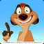 Mr.Timon