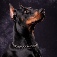 妹妹对我说搂住我的腰