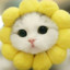kitty^^
