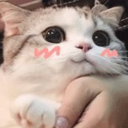 源叔