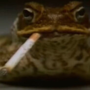 Frog with a Zig