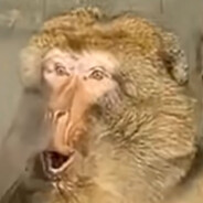 Monkey core