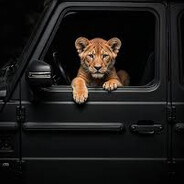 v8 - steam id 76561199780554903