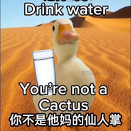 Drink water