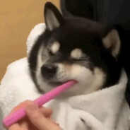 AnGel丶呆呆