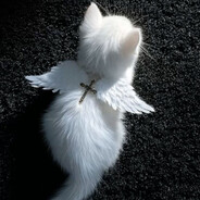 🕊