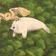Airborne Seals avatar