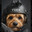 Tucky_the_Tactician