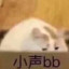 박포천