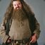 Rubeus Hagrid