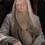 Albus Dumbledore