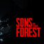 Mati Sons Forest