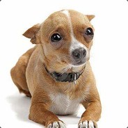 SIR DEAG ALOT/IM BAD