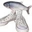 Fish with Sneakers