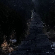 丁镇北是一条鱼