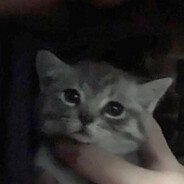 三沙第一重炮手雷龙