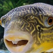 brackish