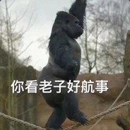 很航事的苏小帅