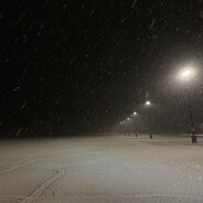 ナスチャが大好きです