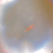 至高天冷脸相声艺术家