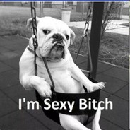 我很帅气很牛逼