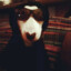 puflito