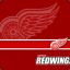 redwingsfan397