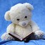 DoctorTeddyBear