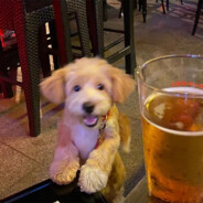 盲人按摩李师傅