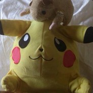 pikapika20170708