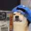T Dizzle
