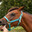 Horseington