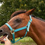 Horseington
