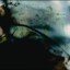 aphelios_eversince
