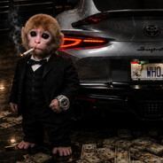 Mink