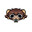 Moshi
