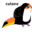 Cutano SKINS
