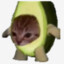 牛游菓猫