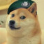 SergeantMcDoge