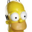 HOMER SIMPSON