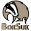 BorSuk