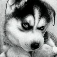 扶我起来，我还能送！