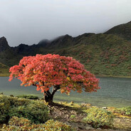 她说万幸得以相识