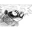 Killua