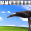 !!!!!!!!!!!DAMN!!!!!!!!!!!