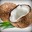 Coccotime