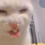 牛爷爷外场最速传说