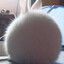 Charl Ep